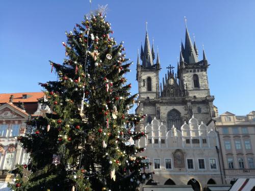 SP504 Kouzelná vánoční Praha a její legendy 