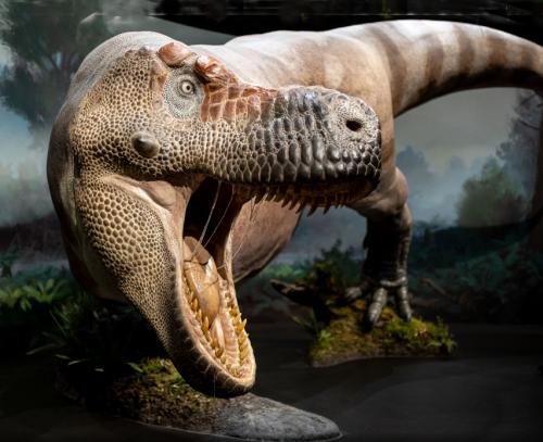 ZV10 Zažijte dinosaury jako nikdy předtím