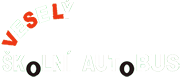 Primary Raster logo